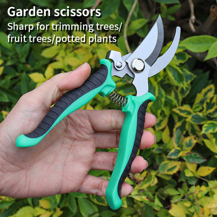 OEM Customizable Stainless Steel Garden Pruning Shears DIY Grade Fruit Graft Branch Scissors for Planting Hand Tools