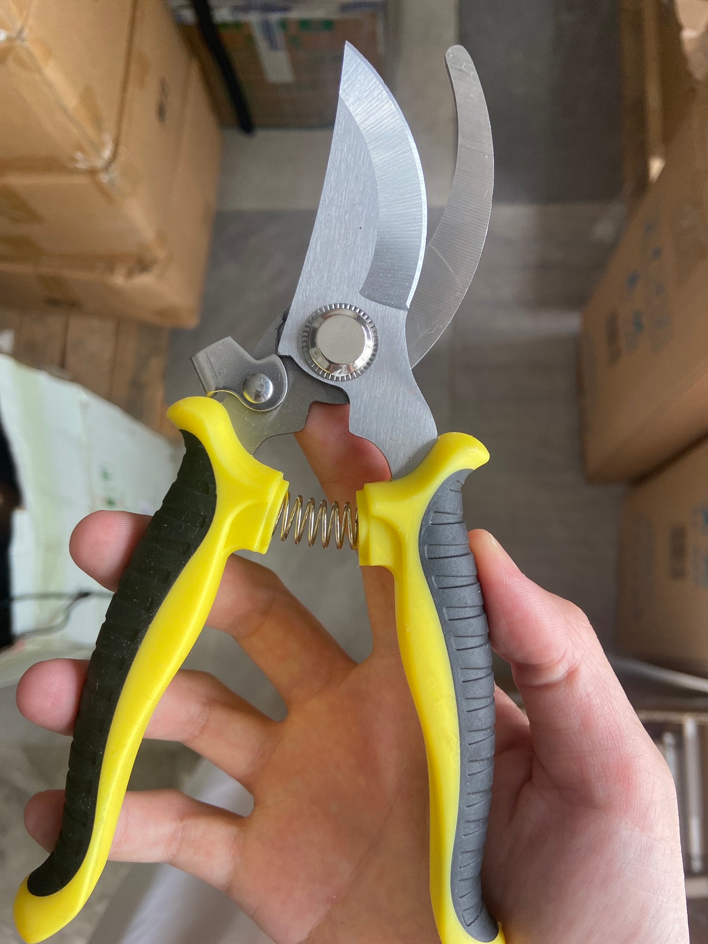 OEM Customizable Stainless Steel Garden Pruning Shears DIY Grade Fruit Graft Branch Scissors for Planting Hand Tools