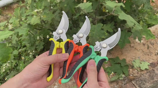 OEM Customizable Stainless Steel Garden Pruning Shears DIY Grade Fruit Graft Branch Scissors for Planting Hand Tools